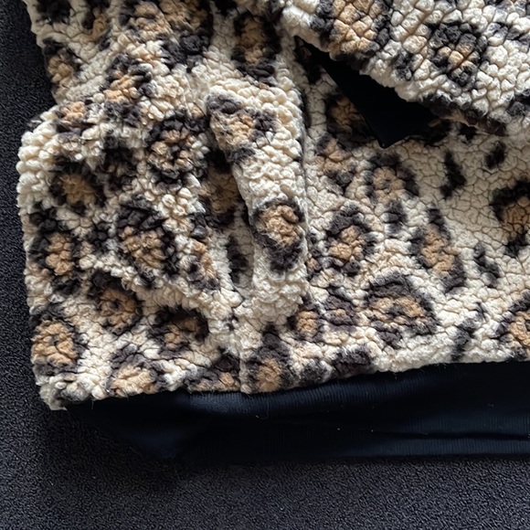 Express Sherpa Sweatshirt - Picture 2 of 6